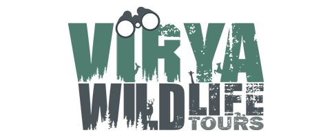 Giant infotech - Client Logo